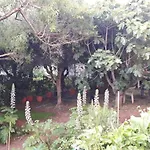 A Garden On The Bay Hébergement de vacances Castiglioncello