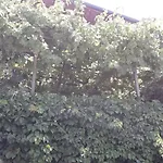 A Garden On The Bay