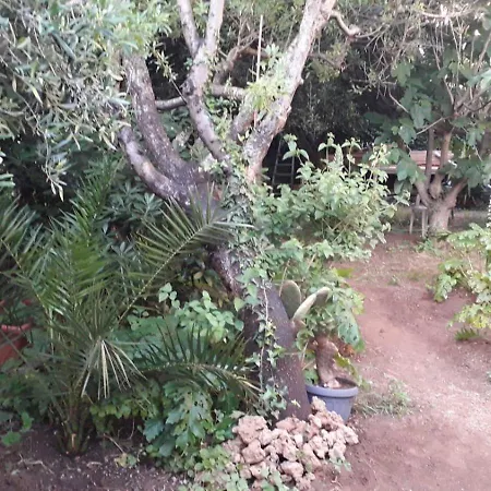 A Garden On The Bay