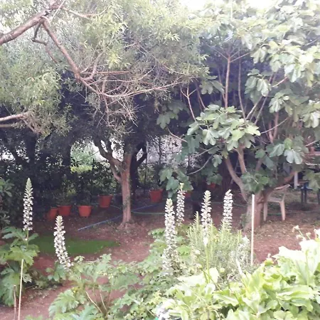 A Garden On The Bay Ferienhaus Castiglioncello