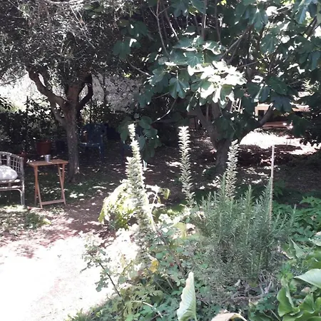 A Garden On The Bay Σπίτι διακοπών *