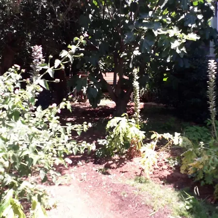 Σπίτι διακοπών A Garden On The Bay *