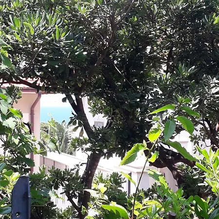Σπίτι διακοπών A Garden On The Bay *