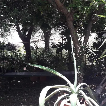 A Garden On The Bay Ferienhaus